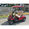 2 seater mini golf carts
